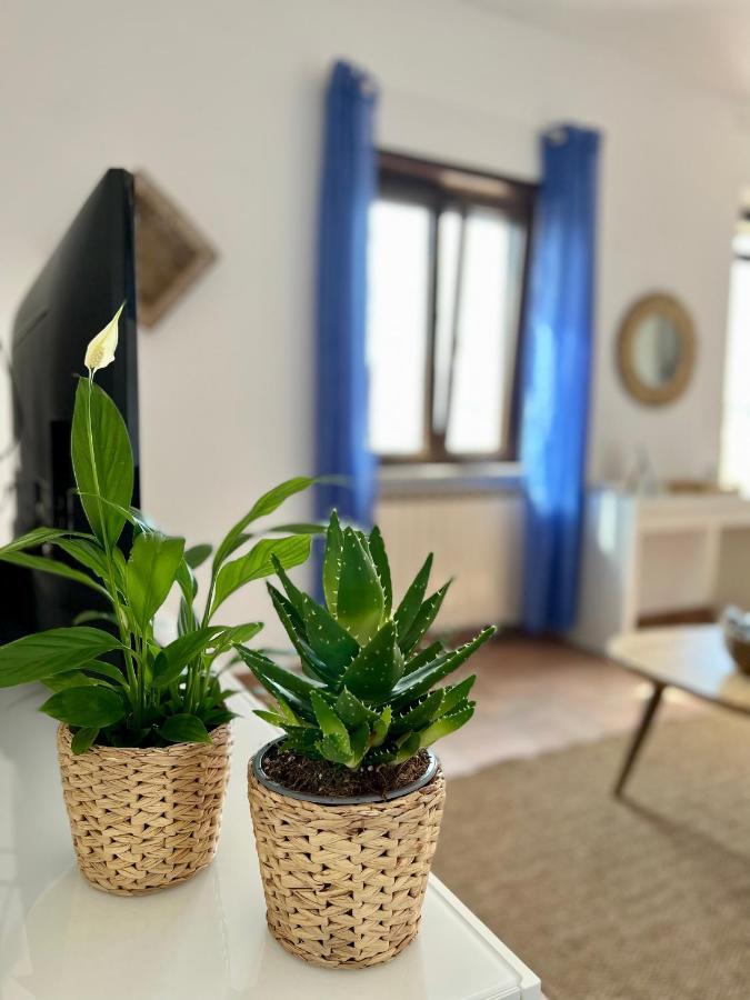 Appartement Sea Breeze House à Fiumicino Extérieur photo